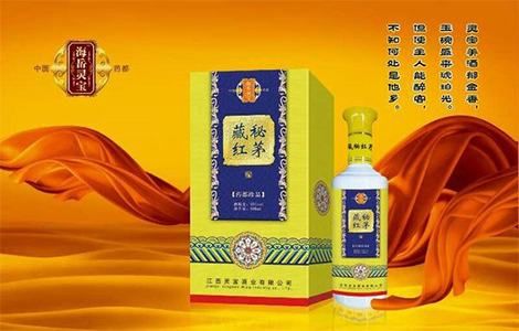 新闻资讯